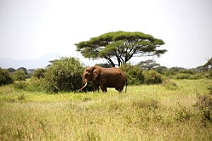 IMG_20250114-00-IMG_8353