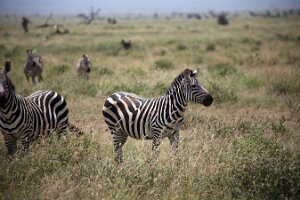 IMG_20250114-00-IMG_8359