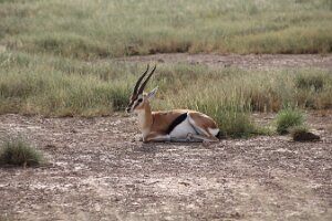 IMG_20250114-00-IMG_8410