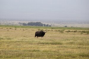 IMG_20250114-00-IMG_8416