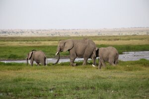 IMG_20250114-00-IMG_8470