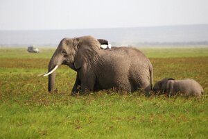 IMG_20250114-00-IMG_8495