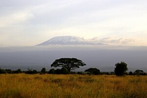 IMG_20250114-00-IMG_8545