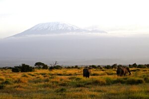 IMG_20250114-00-IMG_8563