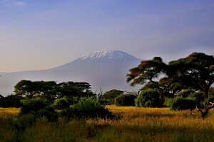 IMG_20250115-00-IMG_8645