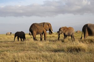 IMG_20250115-00-IMG_8649