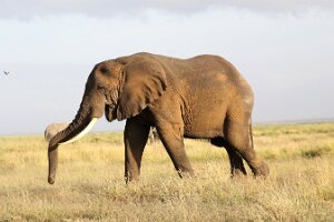 IMG_20250115-00-IMG_8650