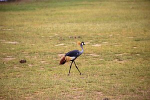 IMG_20250115-00-IMG_8787