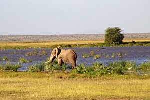 IMG_20250115-00-IMG_8839