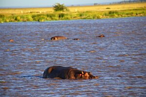 IMG_20250115-00-IMG_8874