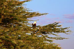 IMG_20250115-00-IMG_8884