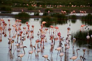 IMG_20250115-00-IMG_8891