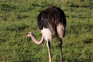 IMG_20250117-00-IMG_8980