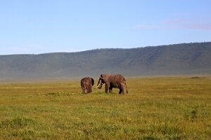 IMG_20250117-00-IMG_9006