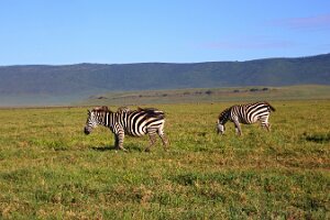 IMG_20250117-00-IMG_9021