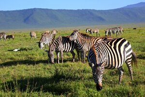 IMG_20250117-00-IMG_9038