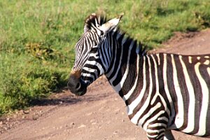 IMG_20250117-00-IMG_9057