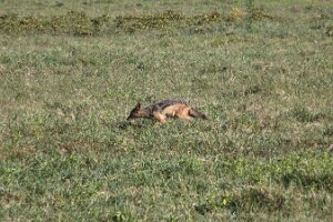 IMG_20250117-00-IMG_9170