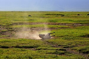 IMG_20250117-00-IMG_9186