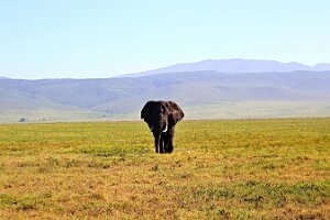 IMG_20250117-00-IMG_9210