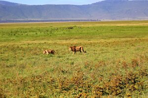 IMG_20250117-00-IMG_9246