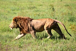 IMG_20250117-00-IMG_9258