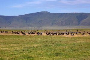 IMG_20250117-00-IMG_9324