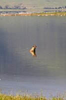 IMG_20250117-00-IMG_9335