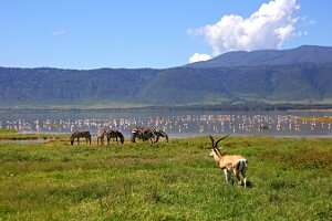 IMG_20250117-00-IMG_9354