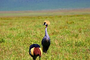 IMG_20250117-00-IMG_9412