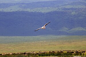 IMG_20250117-00-IMG_9479