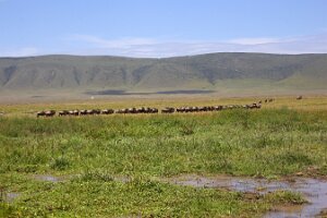 IMG_20250117-00-IMG_9506