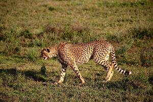 IMG_20250118-01-IMG_0085