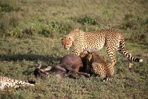 IMG_20250118-01-IMG_0087