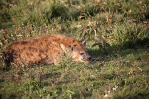 IMG_20250118-01-IMG_0126