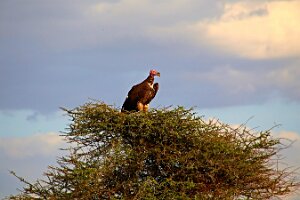 IMG_20250118-01-IMG_0143