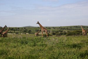 IMG_20250118-01-IMG_9582