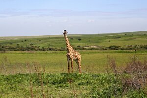 IMG_20250118-01-IMG_9589