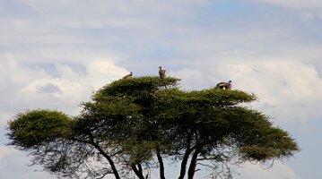 IMG_20250118-01-IMG_9653