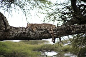 IMG_20250118-01-IMG_9878