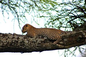 IMG_20250118-01-IMG_9892