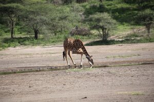 IMG_20250118-01-IMG_9934