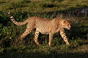 IMG_20250119-01-IMG_0242