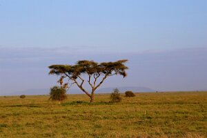 IMG_20250119-01-IMG_0280