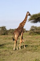 IMG_20250119-01-IMG_0326