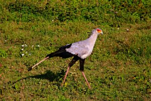 IMG_20250119-01-IMG_0338