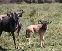 IMG_20250119-01-IMG_0370