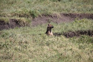 IMG_20250119-01-IMG_0382