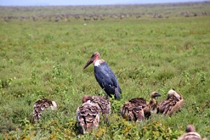 IMG_20250119-01-IMG_0444