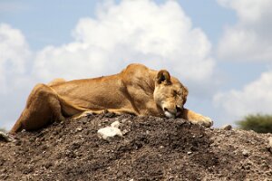 IMG_20250119-01-IMG_0522